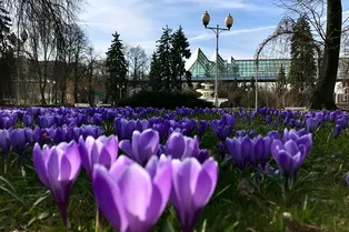 Москву накроет каспийский циклон: москвичей на этой неделе ждут неприятные дни