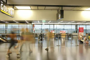 Москва, Питер, Краснодар, Сочи: жители каких городов рискуют встретить Новый год в аэропорту