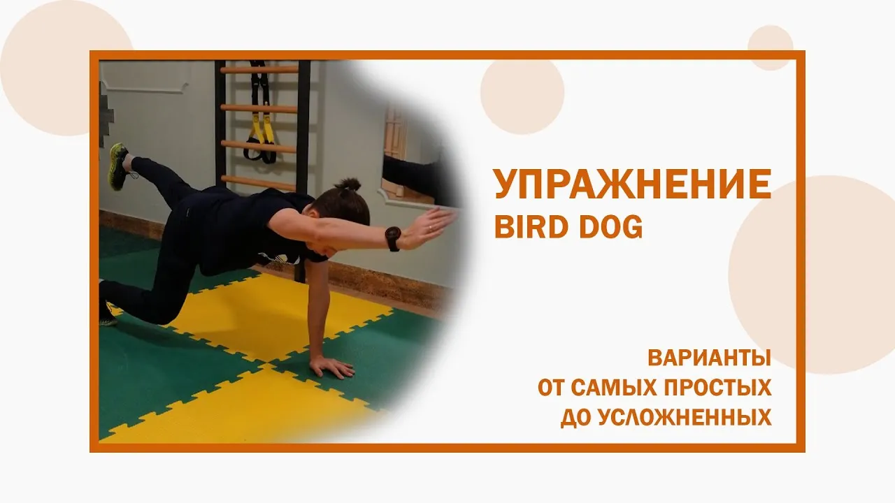 Нажми и смотри