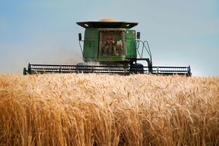 Забудьте про IT: названы неожиданные профессии, где можно много заработать