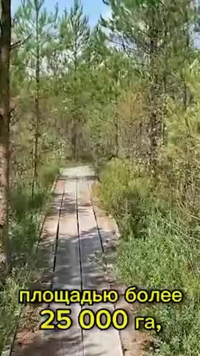 Нажми и смотри