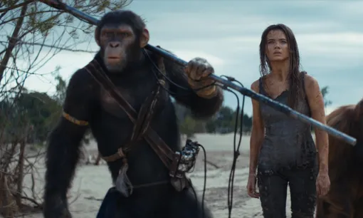 Лучшие фильмы