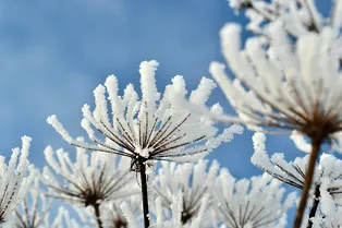 Жуткий холод и полуметровые сугробы: в российских регионах ударили 35-градусные морозы