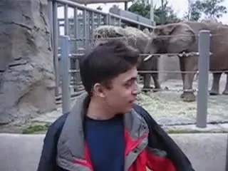 Нажми и смотри