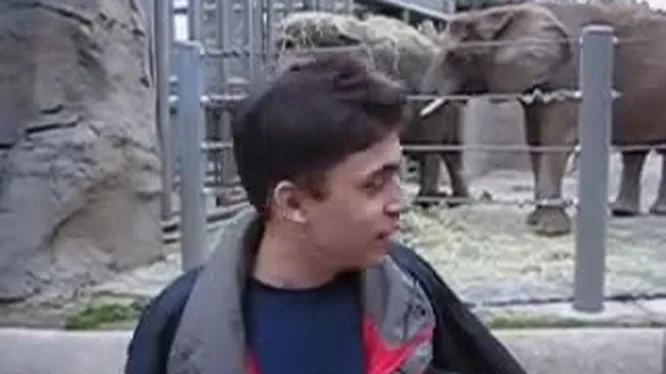 Нажми и смотри