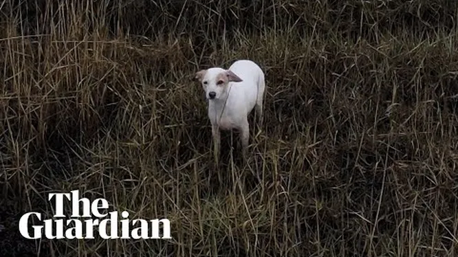 Нажми и смотри