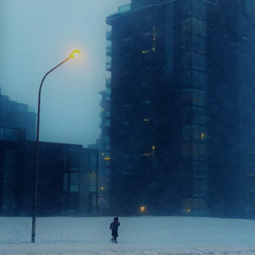 Москву накрыла очередная метель: МЧС призывает горожан не выходить из дома