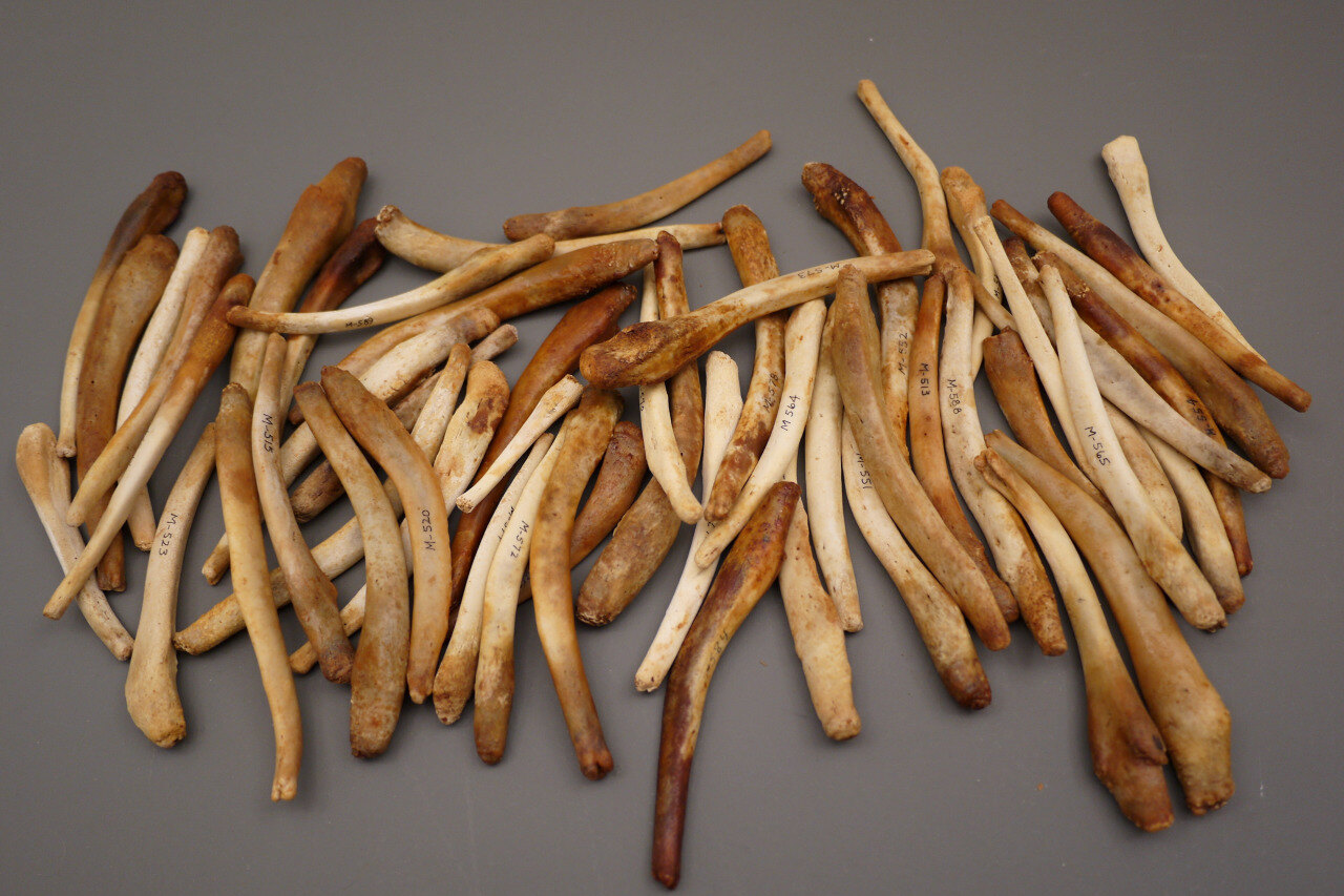 Рита Фалтояно ваннадан кейінгі порно Әпкесі өз мүшесін ысқылап жатыр