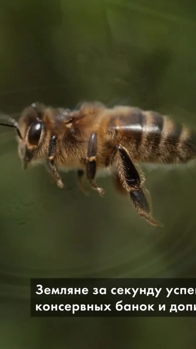 Нажми и смотри