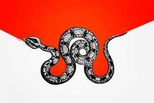 Змеиный яд может спасти 40 процентов жизней в районах боевых действий Змеиный яд может спасти 40 процентов жизней в районах боевых действий