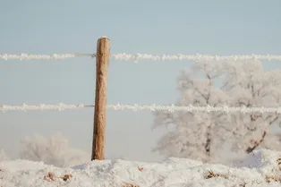 Полюс холода отдыхает: в России зафиксировали аномальные морозы до минус 56 градусов