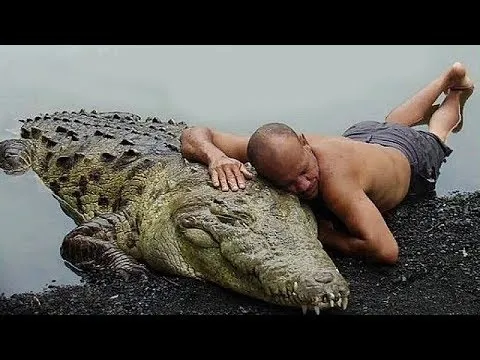 Нажми и смотри