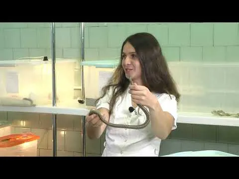 Нажми и смотри Нажми и смотри
