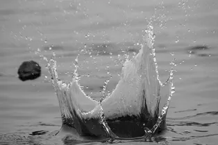 В Шотландии прошел необычный чемпионат: участники соревновались в бросании «блинчиков» в воду