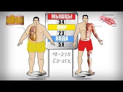 Нажми и смотри Нажми и смотри