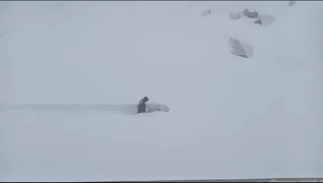 Нажми и смотри