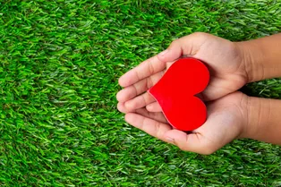 Как сохранить здоровье сердца