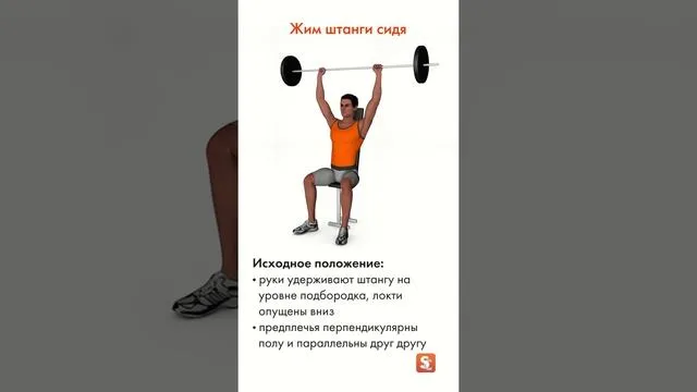 Нажми и смотри Нажми и смотри
