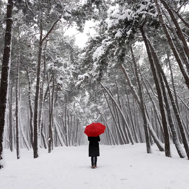 Погода будет сумасшедшей: Россию ждет аномально холодная зима?