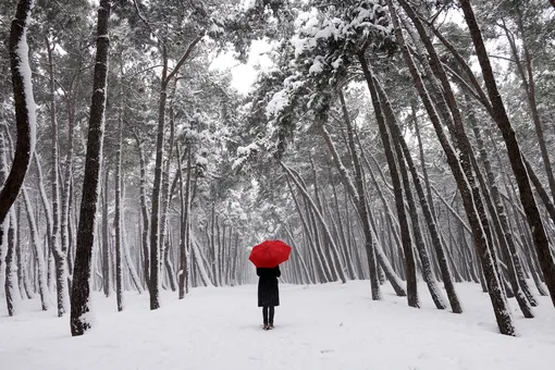 Погода будет сумасшедшей: Россию ждет аномально холодная зима?