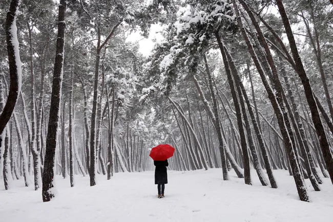 Погода будет сумасшедшей: Россию ждет аномально холодная зима?