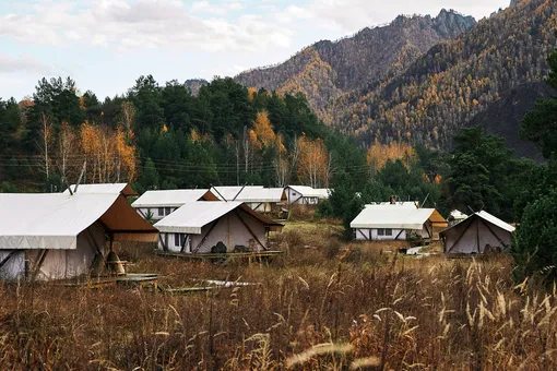 Цифровой детокс и дикий отдых в комфортных условиях: как устроен популярный глэмпинг Алтая