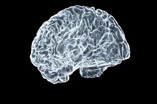 Зависимости формируются еще до рождения: ученые обнаружили, что склонность к зависимости зависит от генов