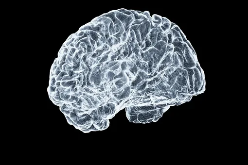 Зависимости формируются еще до рождения: ученые обнаружили, что склонность к зависимости зависит от генов Зависимости формируются еще до рождения: ученые обнаружили, что склонность к зависимости зависит от генов