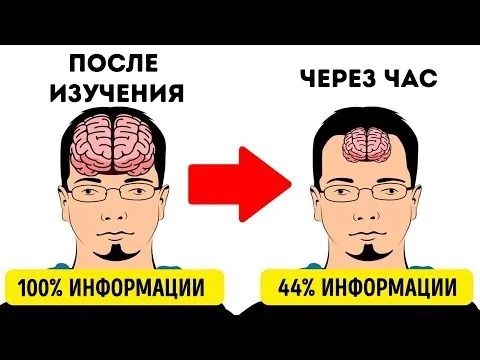 Нажми и смотри