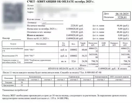 Счет за воду на 11,5 млн рублей, который получила владелица квартиры в Амурской области Счет за воду на 11,5 млн рублей, который получила владелица квартиры в Амурской области