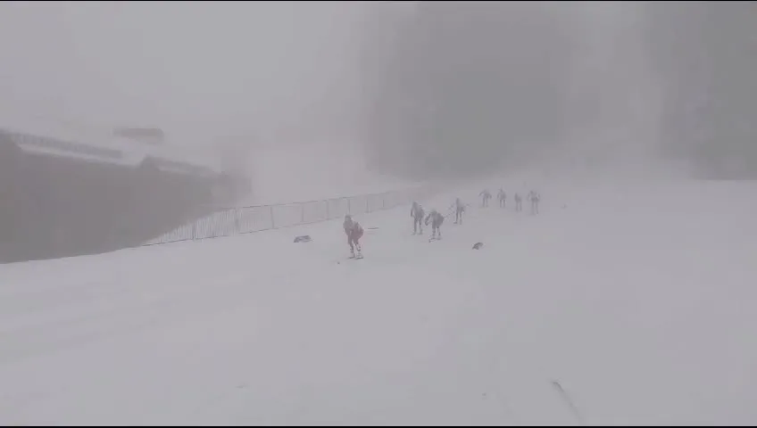 Нажми и смотри