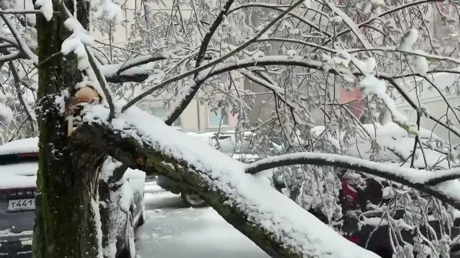 Нажми и смотри