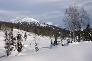 Усольцевы еще живы? Раскрыто, как пропавшая семья могла провести 40 дней в тайге