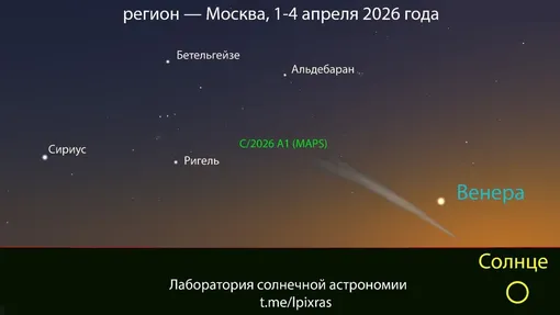 Теоретическое расположение кометы C/2026 A1 на небе при наблюдениях с территории России