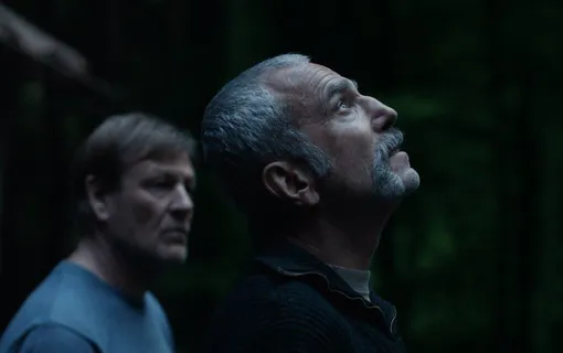 Худшие фильмы