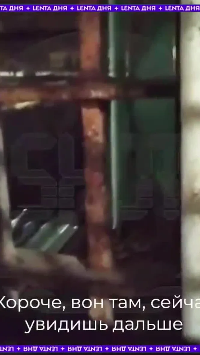 Нажми и смотри