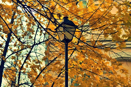 Москвичей ждет аномальное тепло: синоптик рассказал о погоде в столице на следующей неделе