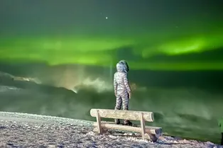 Фото дня: объявлены победители конкурса снимков, сделанных на iPhone