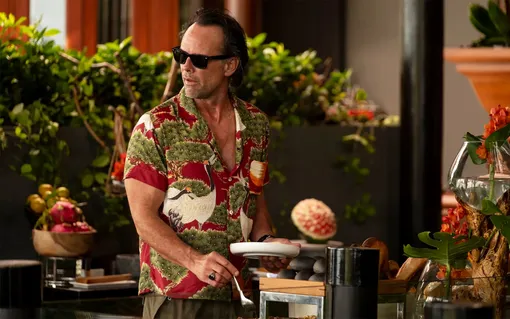 Уолтон Гоггинс в третьем сезоне сериала «Белый лотос» (2025) Уолтон Гоггинс