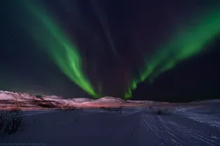 Гид по Заполярью: как перезагрузиться и сменить обстановку в Арктике