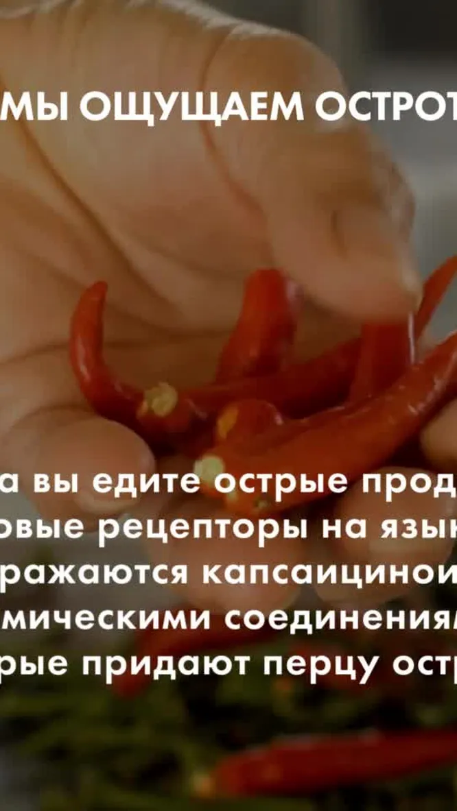 Нажми и смотри