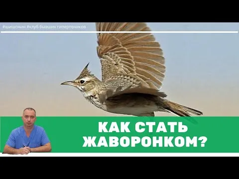 Нажми и смотри