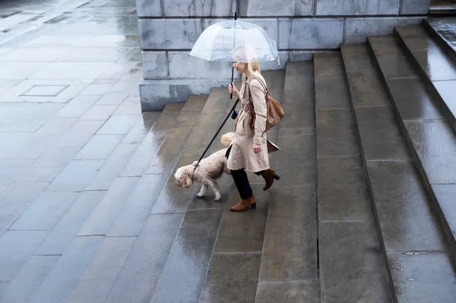 Не ждите жары: какая погода будет на майские праздники