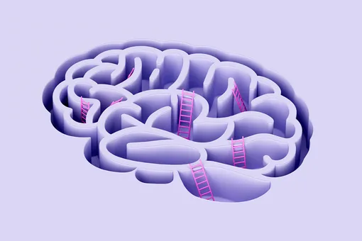 Что происходит с нашим мозгом в переломные моменты 9, 32, 66 и 83 лет? Что происходит с нашим мозгом в переломные моменты 9, 32, 66 и 83 лет?