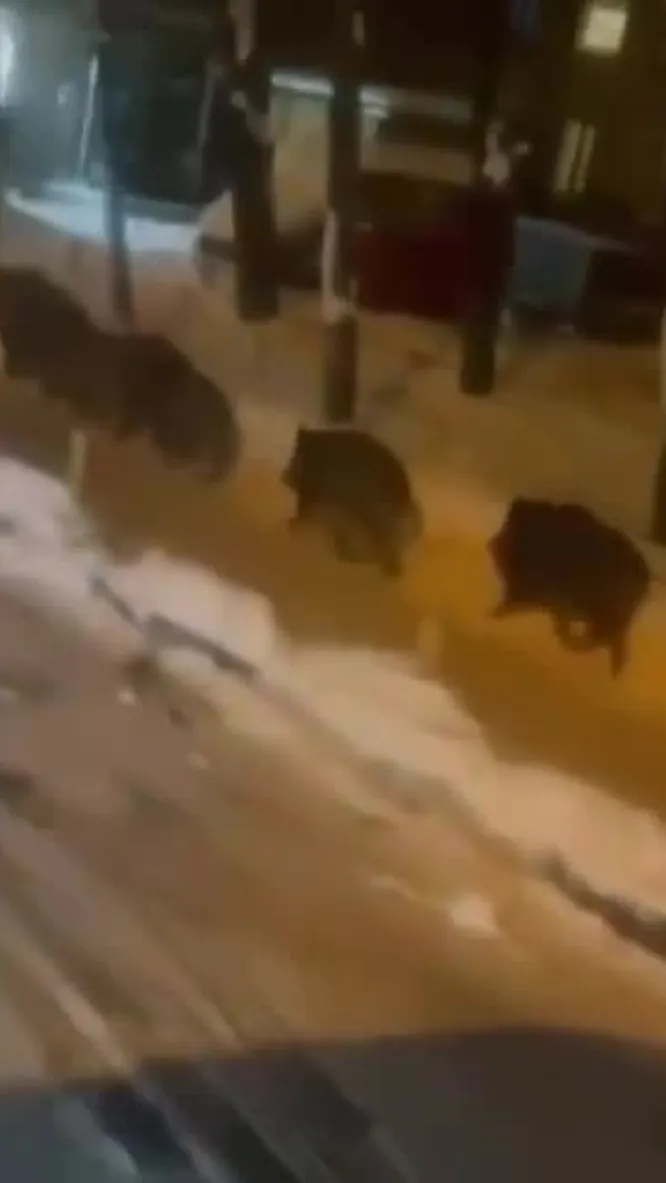 Нажми и смотри