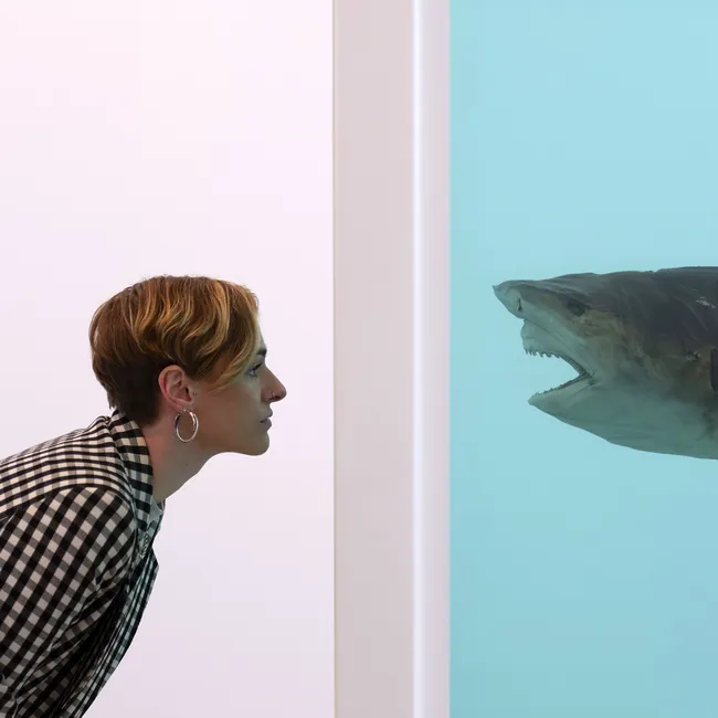 5 художников, которых нужно знать всем, кто хочет разобраться в современном искусстве