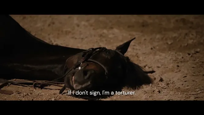 Нажми и смотри