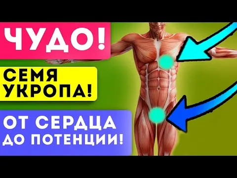 Нажми и смотри