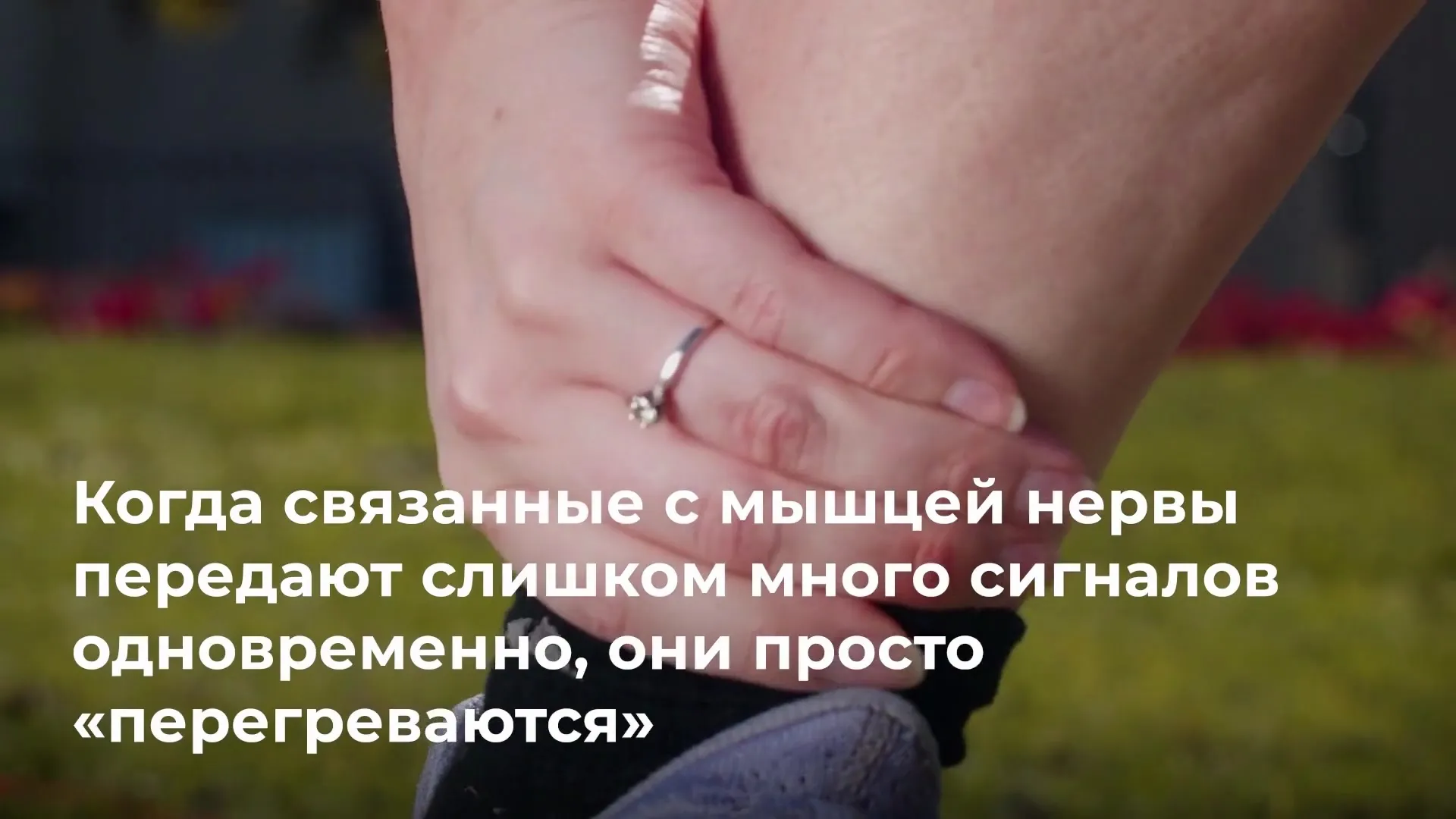 Нажми и смотри Нажми и смотри