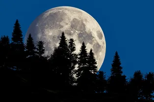 Суперлуна, пара комет и метеоритный дождь: что наблюдать на ночном небе в октябре Суперлуна, пара комет и метеоритный дождь: что наблюдать на ночном небе в октябре